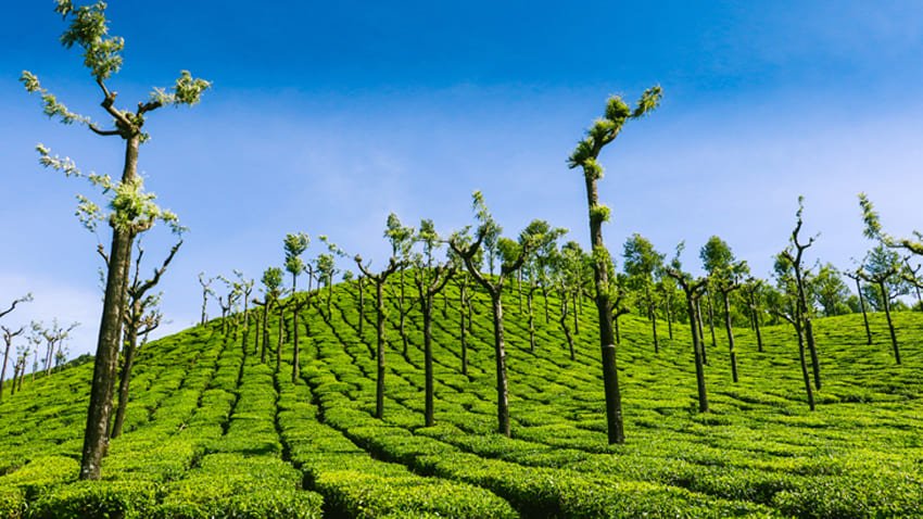 Coimbatore-valparai-tours4