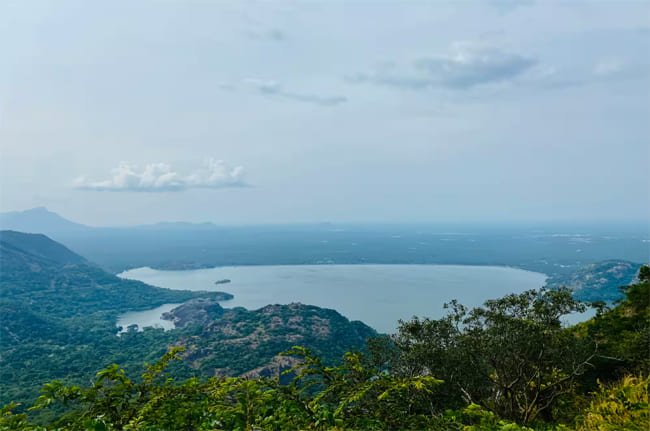 Hornbill View Point