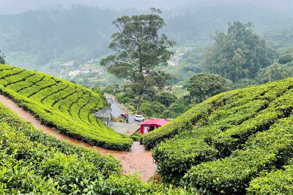 Ooty Tour Packages